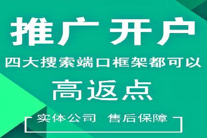 百度竞价与搜索引擎优化（SEO）的协同效应案例